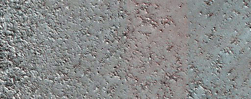 Terrain Sample