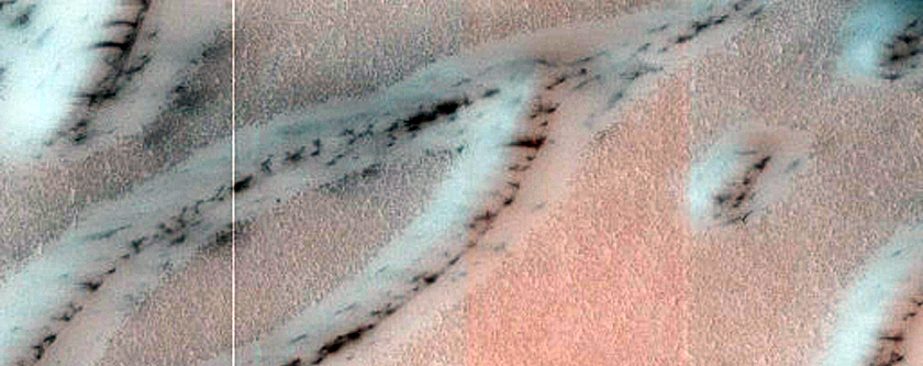 Terrain Sample