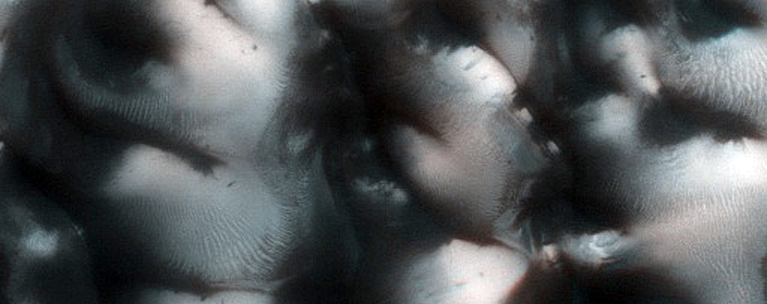 Terrain Sample