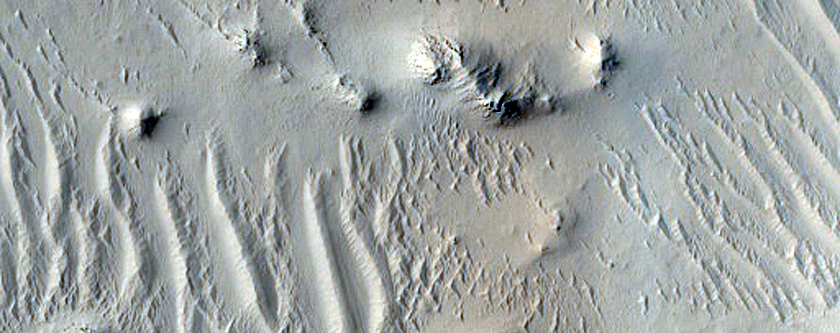 Terrain Sample