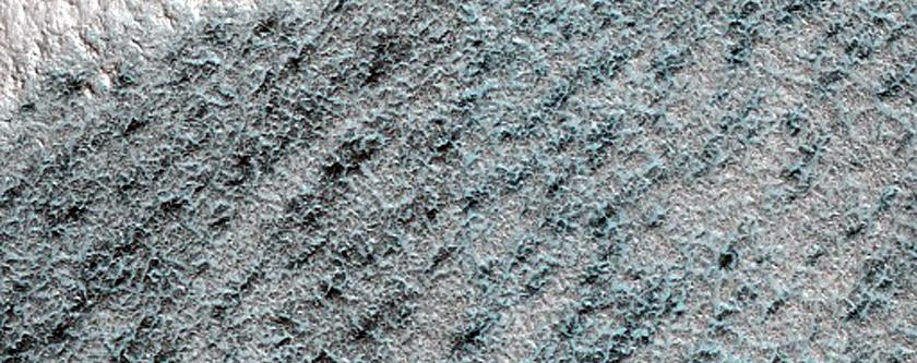 Terrain Sample
