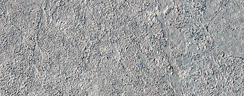 Flood Lavas in Cerberus Palus