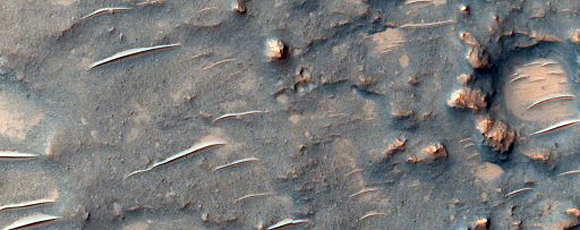 Phyllosilicates on Tyrrhena Terra Crater Floor