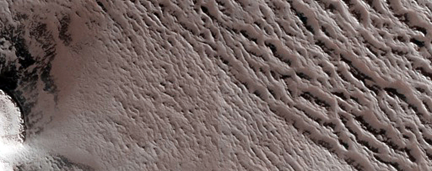 Terrain Sample