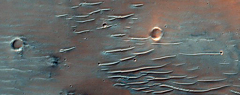 Channels in Tyrrhena Terra