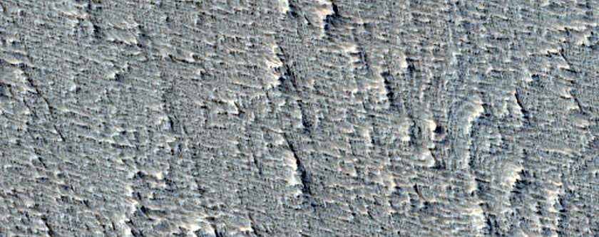 Terrain Sample