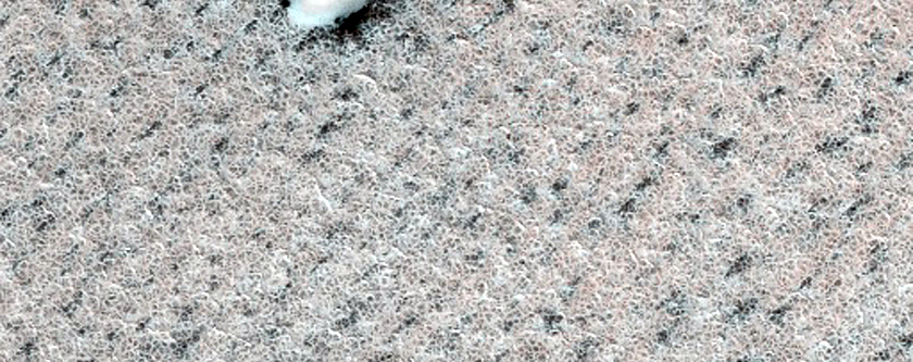 Terrain Sample