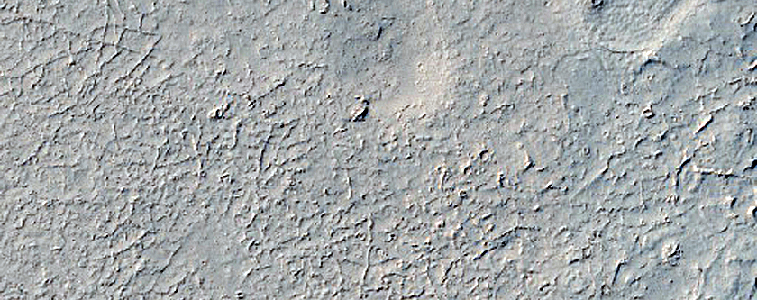 Lava in Southern Elysium Planitia