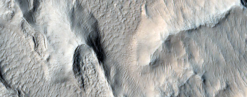 Sinuous Ridges on Surface of Concentric Crater Fill in Nilosyrtis Mensae