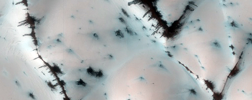 Terrain Sample