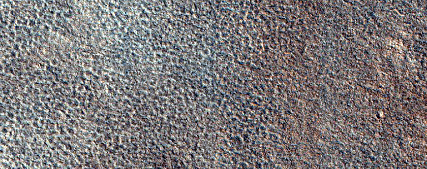 Terrain Sample