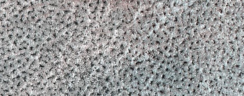 Terrain Sample