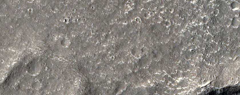 Terrain Sample