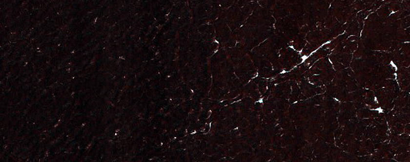 Northern High-Latitude Frost-Enhanced Polygons