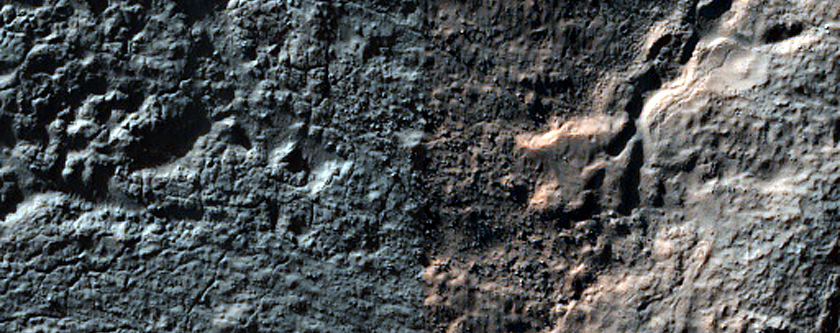 Terrain Sample