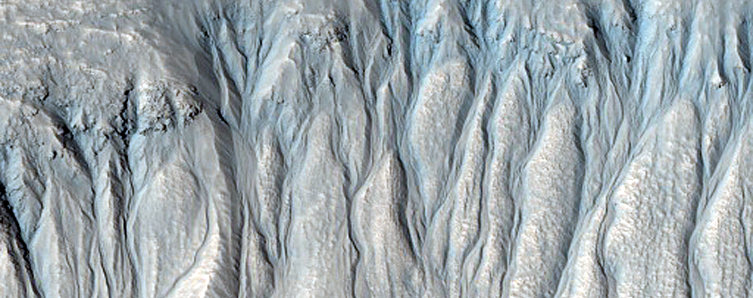 Gully Monitoring