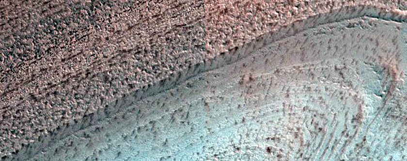 Terrain Sample