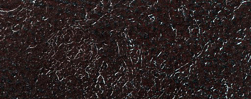 Terrain Sample