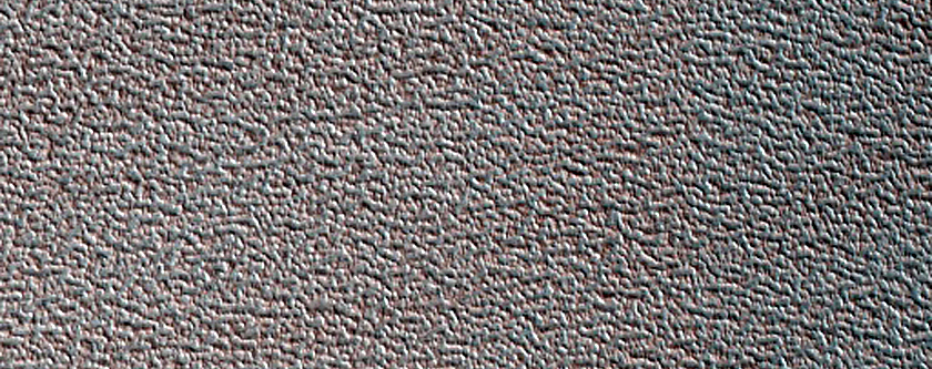 Terrain Sample