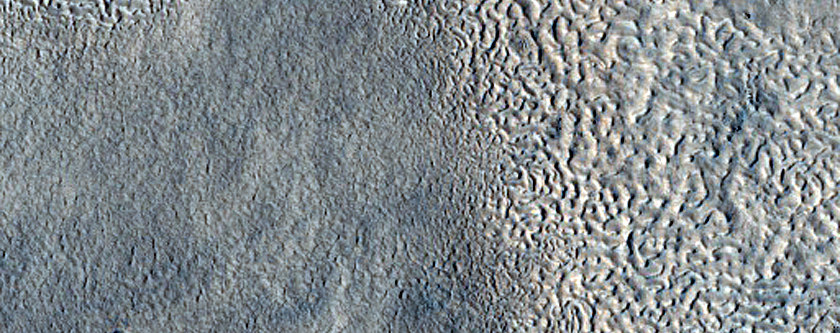 Terrain Sample