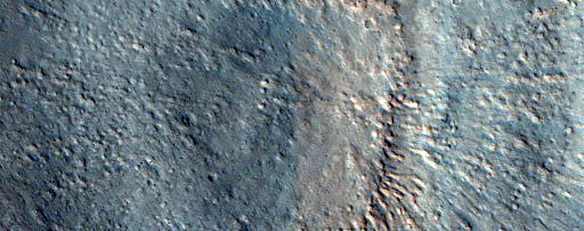 Gullies and Crater Fill in Acidalia Planitia