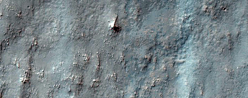 Terrain Sample