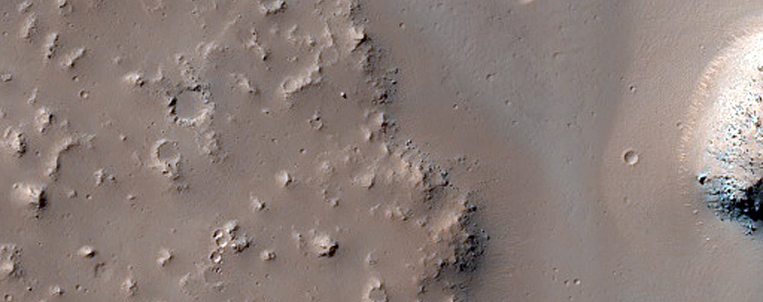 Terrain Sample