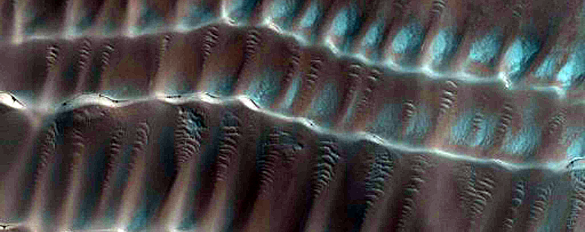 Polar Scarp Dunes Dubbed Hermosa