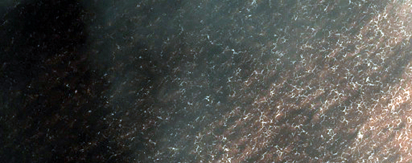 Terrain Sample