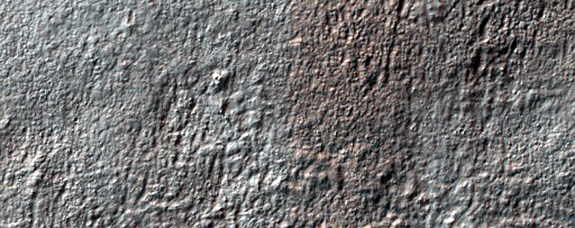Terrain Sample