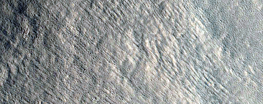 Gully Monitoring
