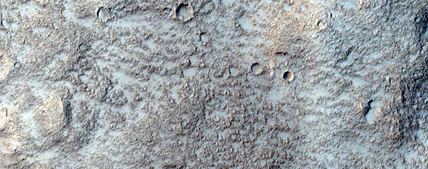 Terrain Sample