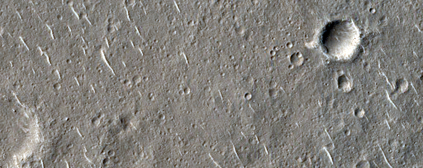 Terrain Sample in Isidis Planitia