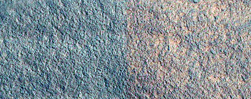 Gully and Frost Monitoring