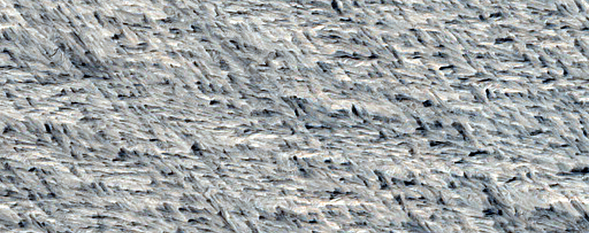 Terrain Sample in Gordii Dorsum