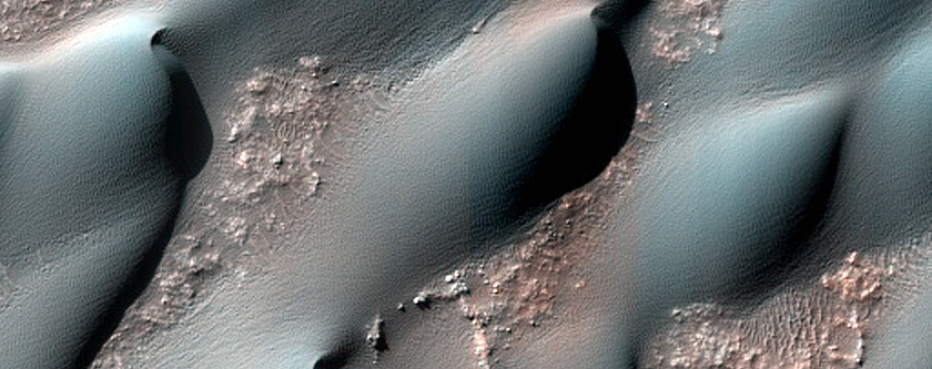USGS Dune Database Entry Number 1384-341