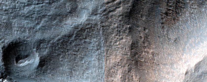 Terrain Sample