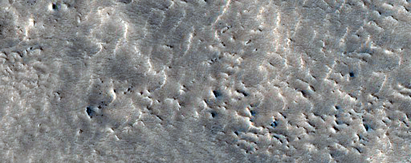 Terrain Sample
