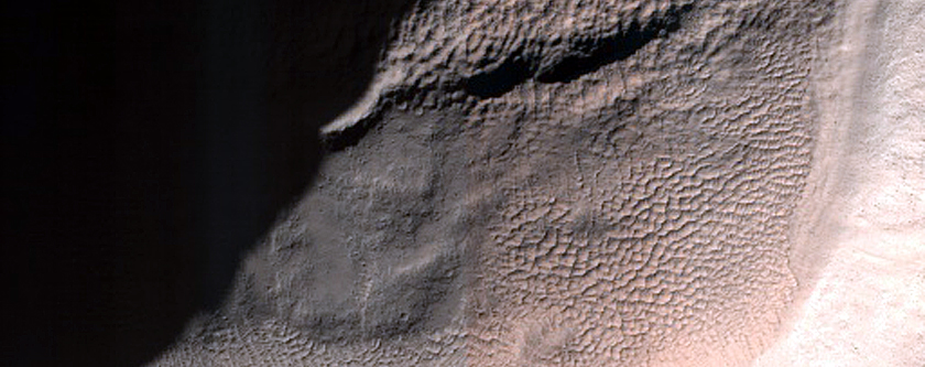 Terrain Sample