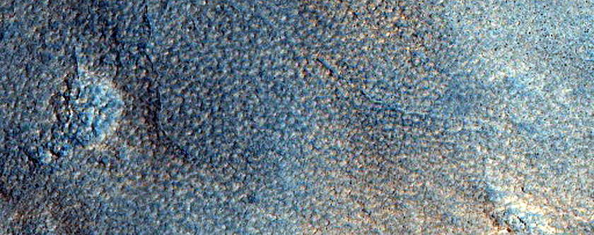 Gullies in Northern Mid-Latitude Crater