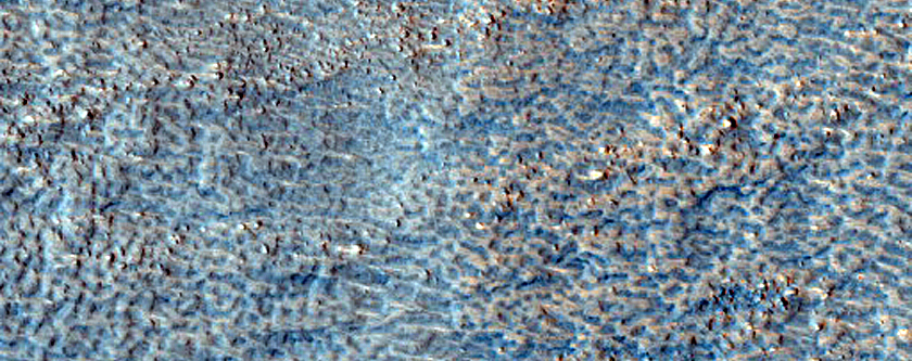 North Arabia Terra Monitoring Site