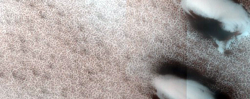 Terrain Sample