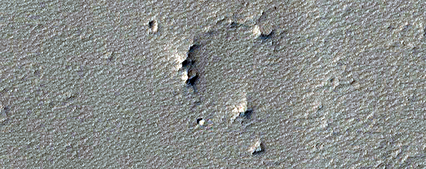 Monitoring Dust Devil Tracks in Noctis Labyrinthus