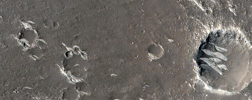 Terrain Sample