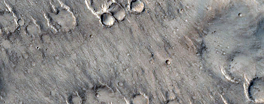 Terrain Sample in Isidis Planitia
