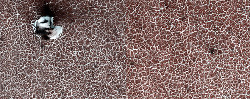 Terrain Sample