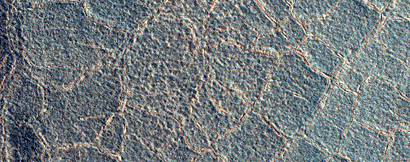 High-Latitude Northern Frost Enhanced Polygons