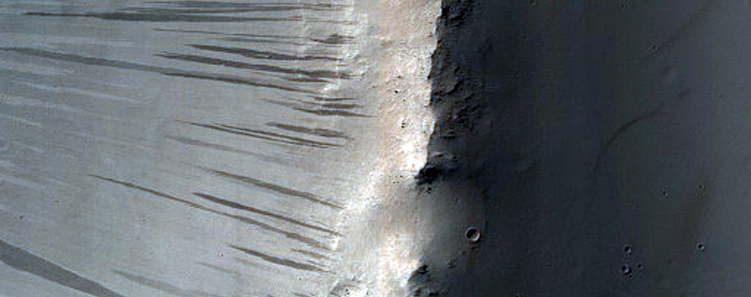 Terrain Sample