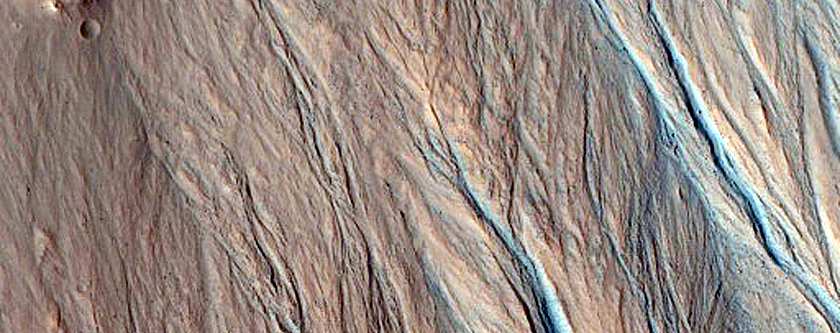 Gully Monitoring
