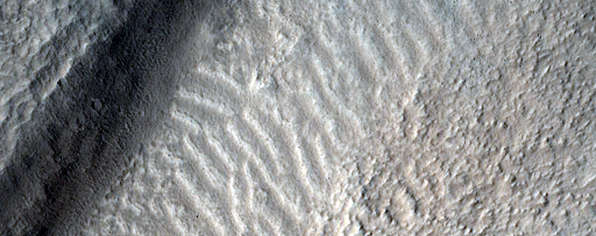 Fresh Impact Crater in Tempe Terra
